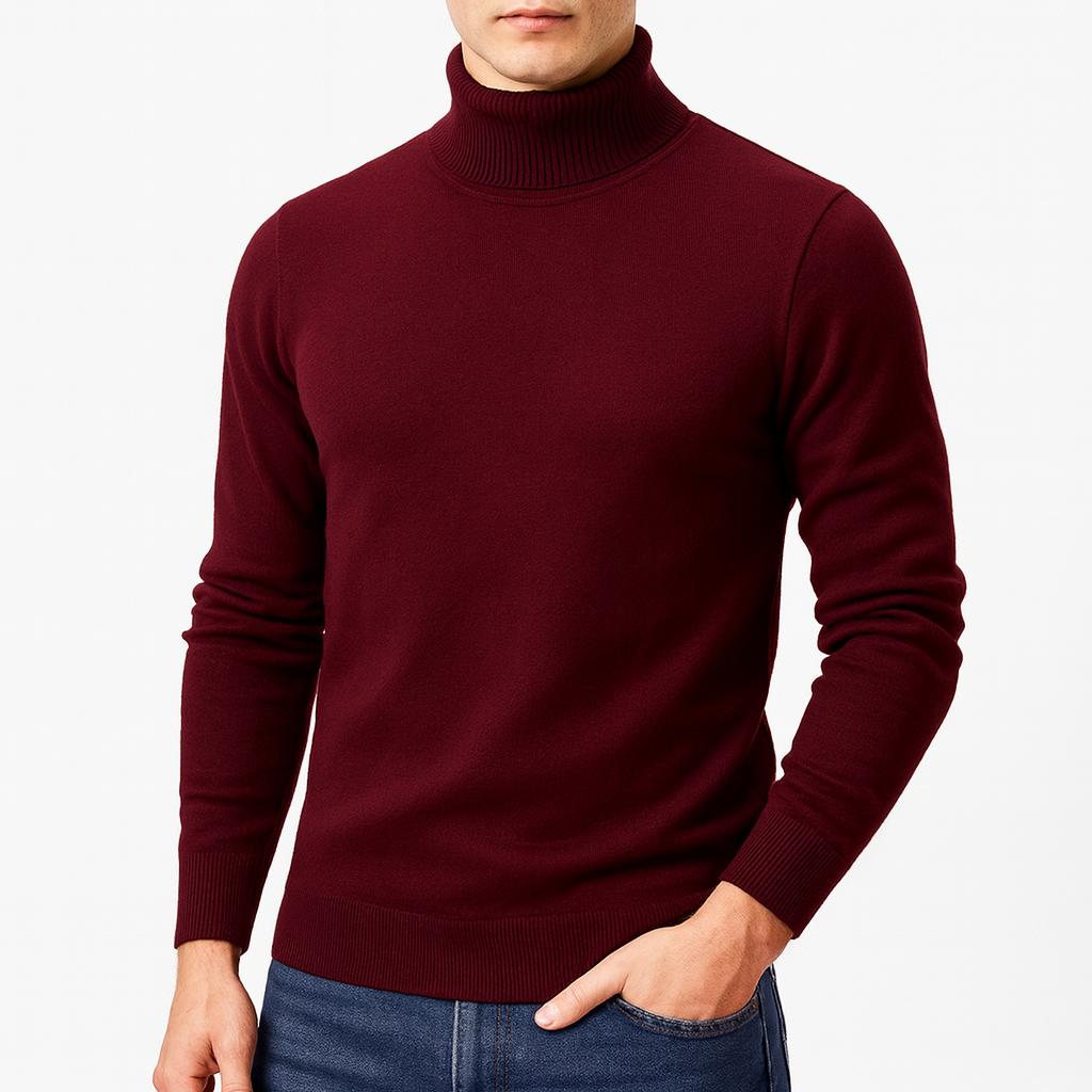 Luis | Pull col roulé pour hommes